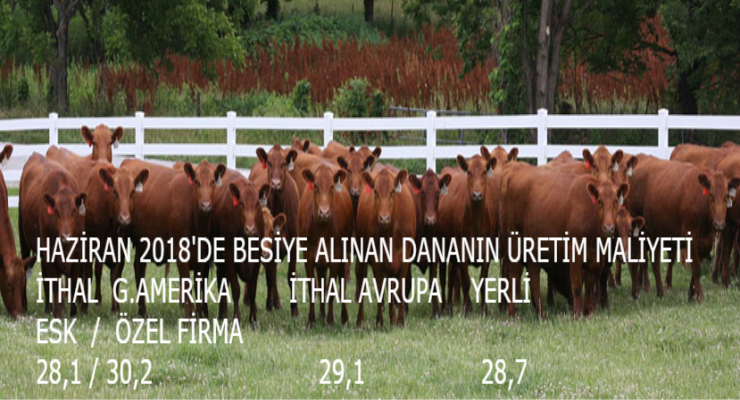 UKON Ulusal Kırmızı Et Konseyi