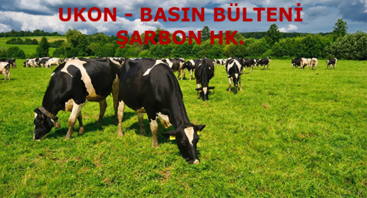 UKON Ulusal Kırmızı Et Konseyi UKON Ulusal Kırmızı Et Konseyi