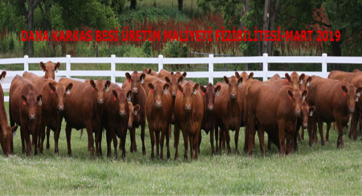 UKON Ulusal Kırmızı Et Konseyi