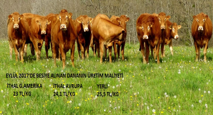 UKON Ulusal Kırmızı Et Konseyi