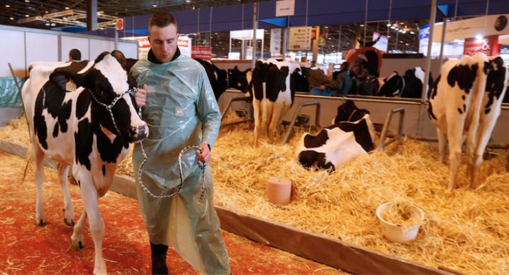 Fransa'da hayvancılık zirvesi başlıyor