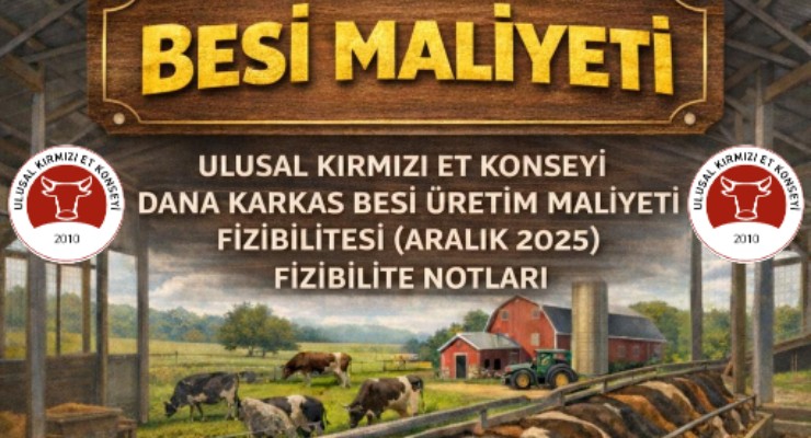 Dana Karkas Besi Üretim Maliyeti Fizibilitesi - Aralık 2025