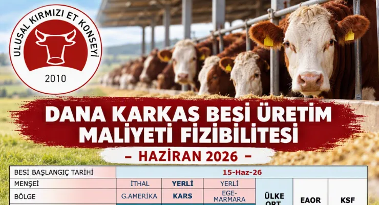 Dana Karkas Besi Üretim Maliyeti Fizibilitesi - HAZİRAN 2026