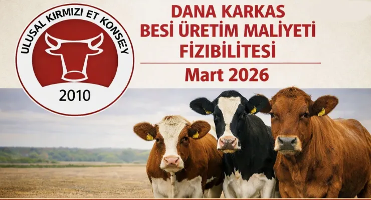 DANA KARKAS BESİ ÜRETİM MALİYETİ FİZİBİLİTESİ - MART 2026 FİZİBİLİTE NOTLARI