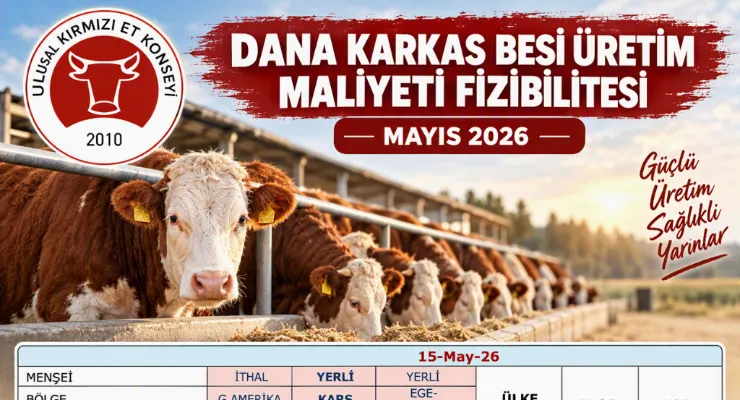 Dana Karkas Besi Üretim Maliyeti Fizibilitesi - MAYIS 2026